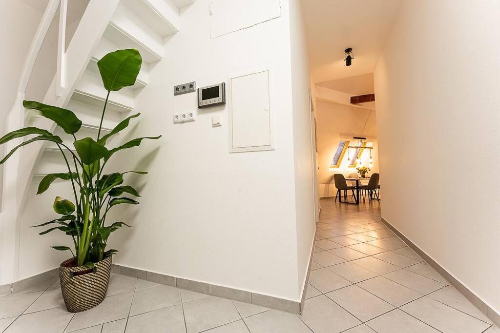 Apartamento Loft Mit Billard-Tisch Und Ps4 Wuppertal Exterior foto